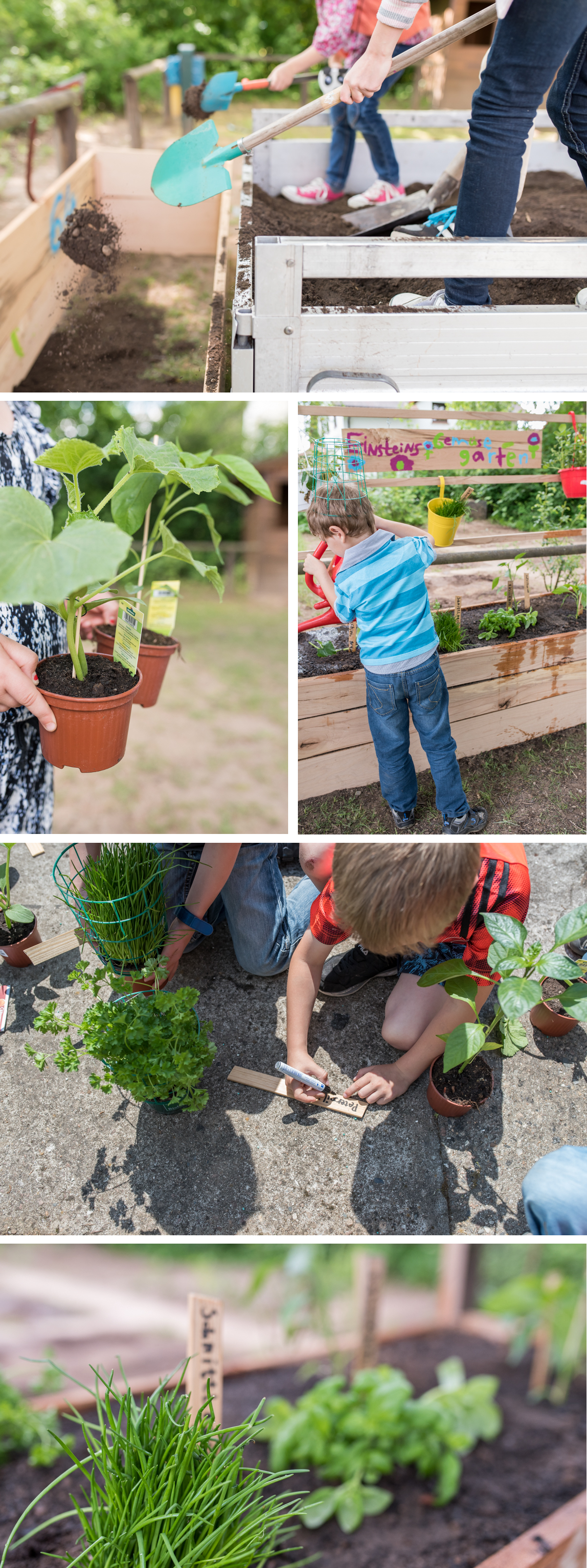 DIY Gemüse Hochbeet für die Grundschule im Rahmen der Aktion #DANKEsagtdanke