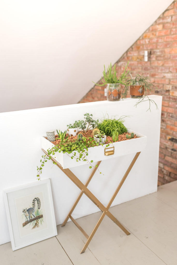 DIY Anleitung für einen upcycling indoor Garten aus einer alten Schublade mit Kakteen und Sukkulenten als Deko im vintage Look für das Wohnzimmer