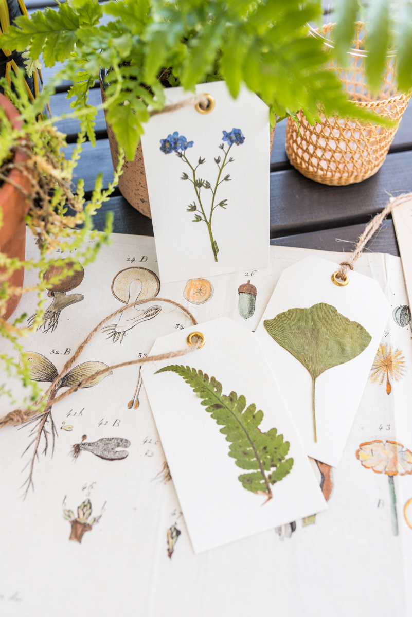 DIY Anleitung für kleine selbst gemachte Notiz Hefte mit Fadenbindung und getrockneten Blättern und Blüten im Botanik-Look