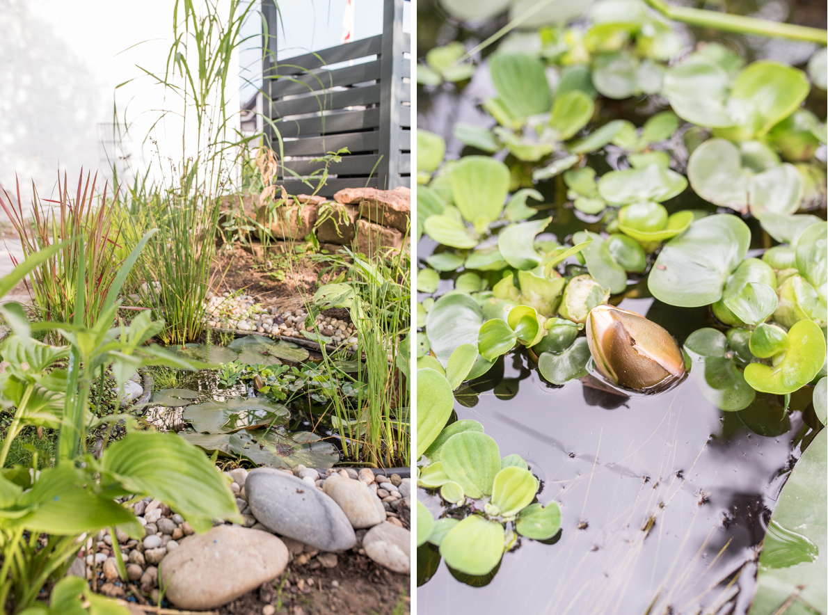 Dekoideen für den Garten im Sommer mit kleinem Teich und Wasserpflanzen