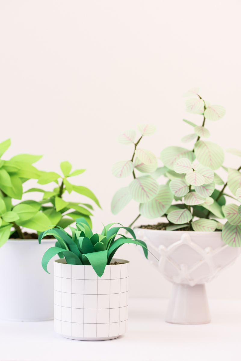 Anleitung für selbst gemachte DIY Zimmer Pflanzen aus Papier als Deko für den immergrünen Indoor Garten zu Hause 