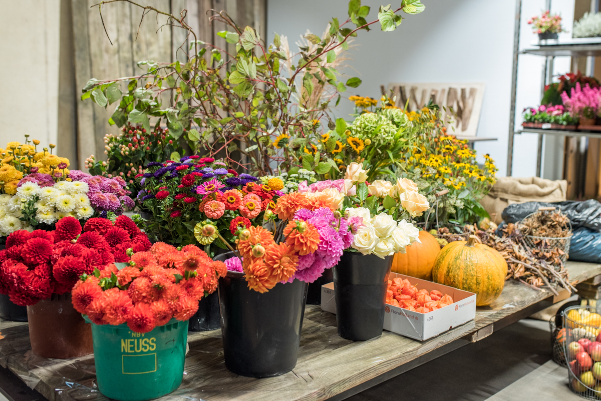 DIY Deko für Halloween mit Herbst Blumen und Kürbis in bunten Farben