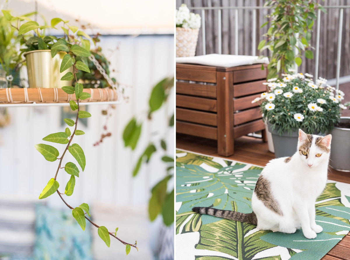 Neugestaltung eines Balkons im Botanik Look mit vorher nachher Bildern, neuem Fußboden aus Holz und grüner Deko im Dschungel Look