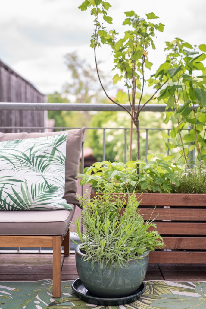Dekoideen für die Lounge auf dem Balkon im Boho Botanik Look mit Rattan Deko, Lounge Möbeln aus Holz und Pflanzen für den Naschgarten auf dem Balkon