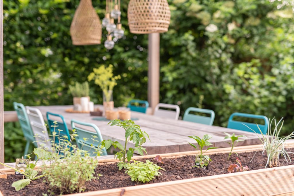 Ein Mottobeet zum Thema Grillgemüse anlegen mit Pflanzen von Naturtalent by toom und Tipps zum Aufbau eines Hochbeets im Garten und Füllung mit Ästen, Laub und Kompost