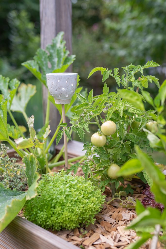 Gemüse Ernte im Hochbeet im Garten mit Gemüse in Bio Qualität von Naturtalent by toom