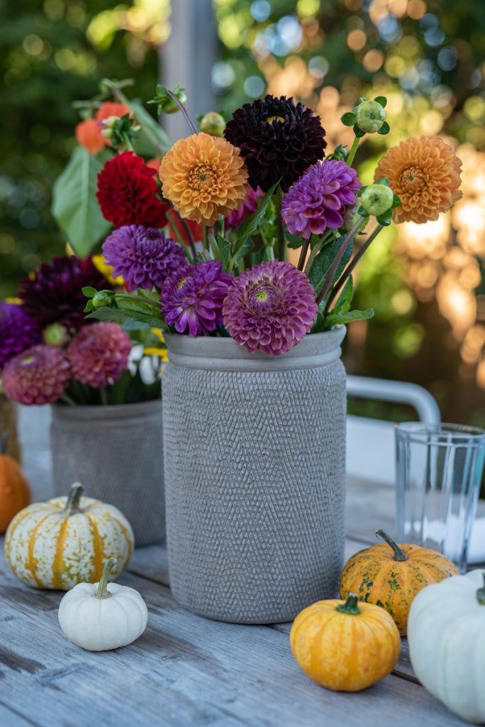 Dekoideen für eine herbstliche Tischdeko im Garten im Herbst mit Dahlien und Kürbis Rezepte für das Herbstfest 