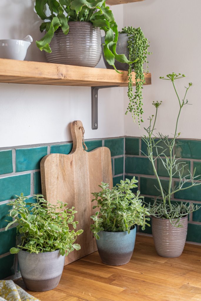 Dekoideen für die Küche mit Pflanzen im bunten Boho Look
