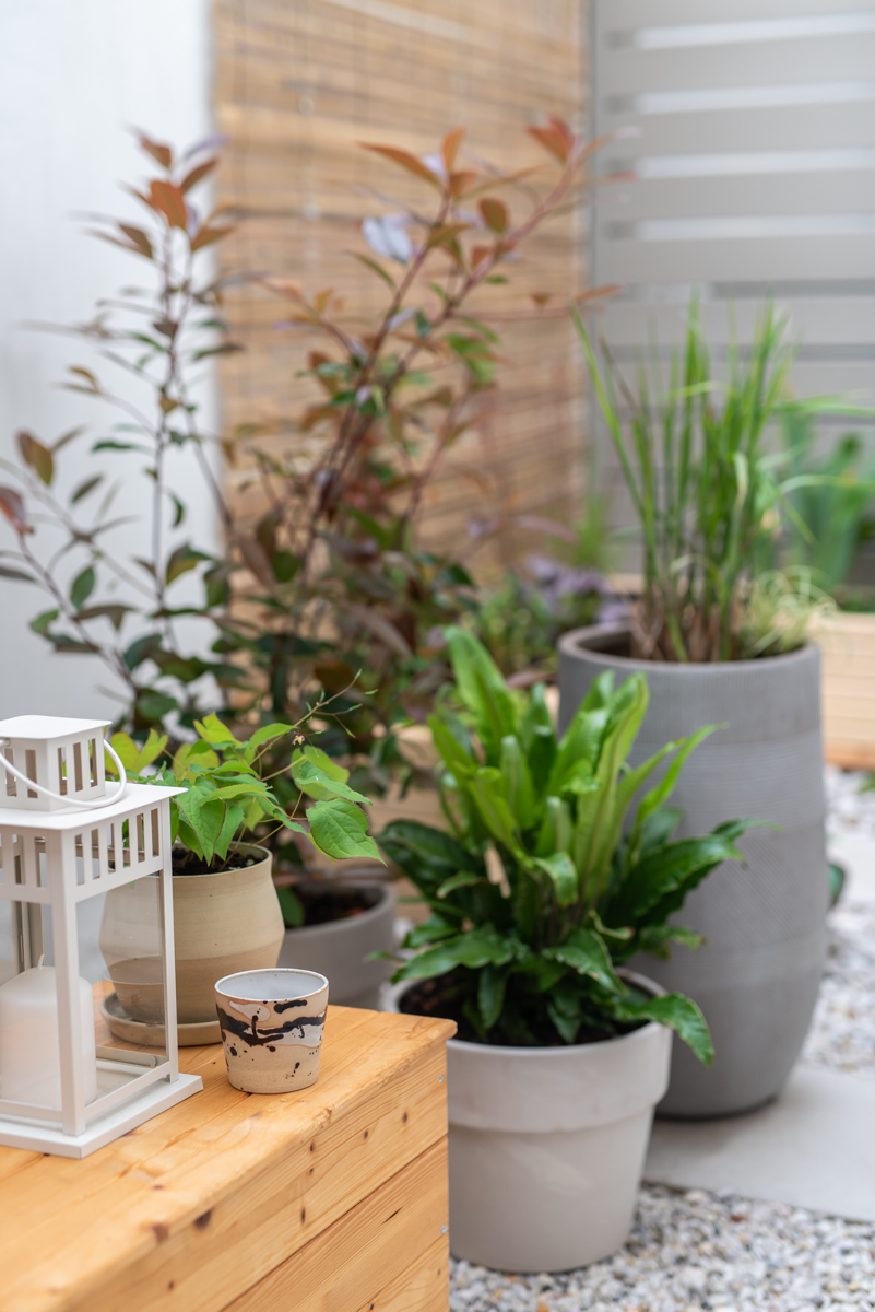 Terrassen makeover: aus einem verwahrlosten Innenhof in der Großstadt entsteht ein mini Garten