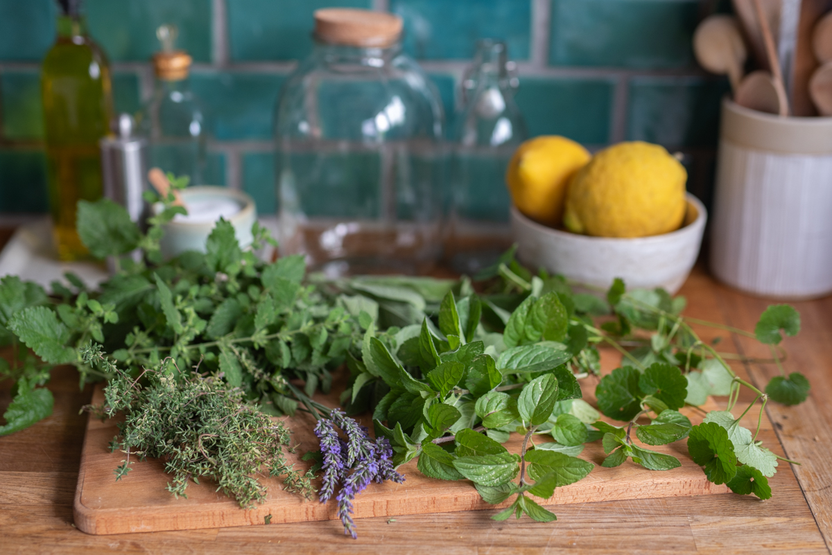 Rezept für Kräutersirup aus dem Garten für hausgemachte Limo aus Kräutern wie Gundermann, Lavendel, Salbei und Minze
